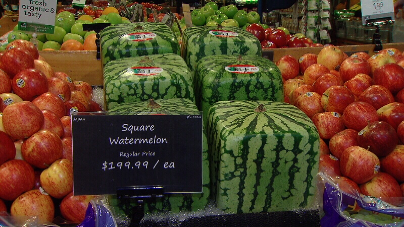 $200 square watermelons are selling, despite the price tag | CTV News