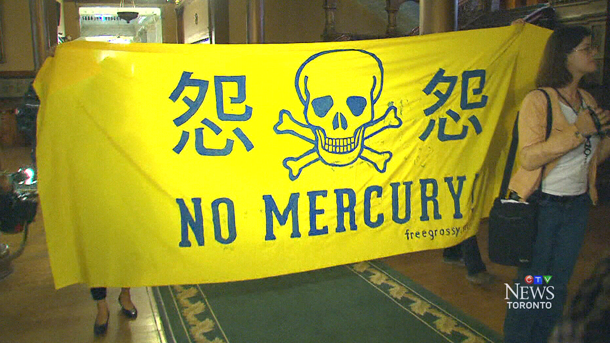 is mercury poisoning permanent
