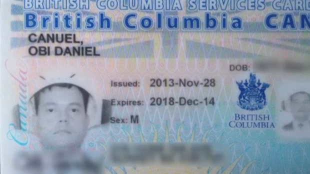 Pastafarian' fights to wear colander in B.C. driver's licence photo | CTV  News