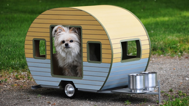 Mini dog cheap trailer