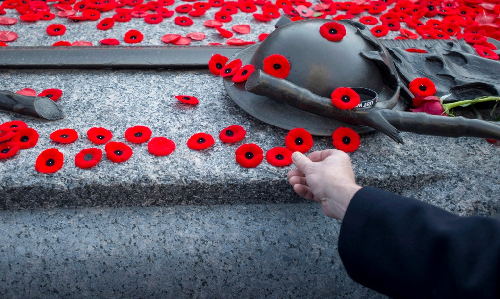 Remembrance Day Ceremonies This Weekend In Ottawa And Area Ctv News