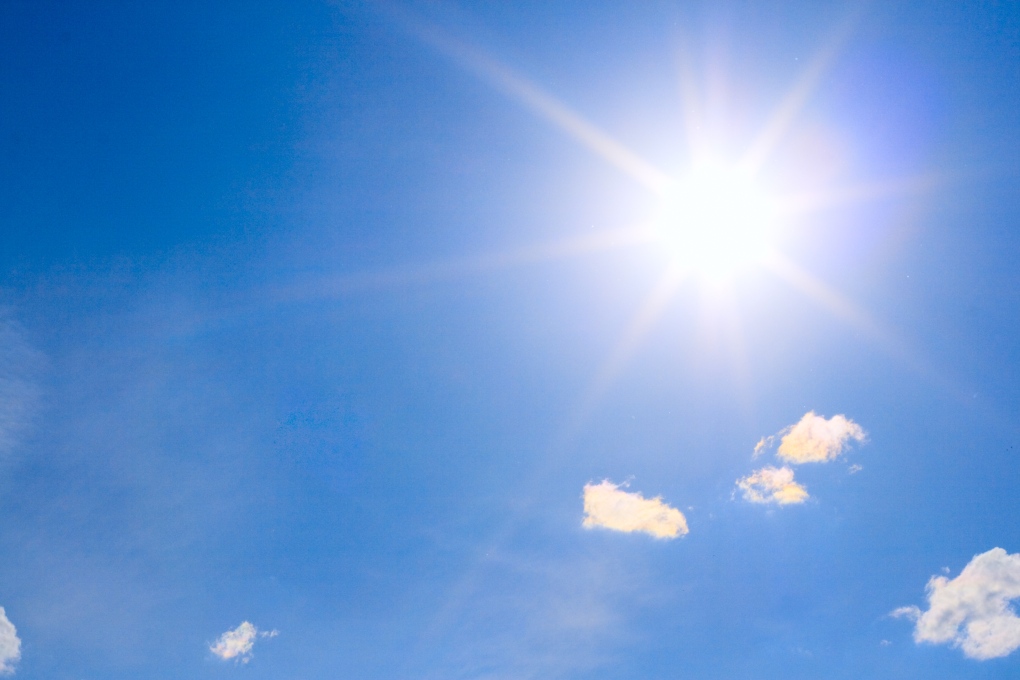 Sunshine may boost your immune system, researchers say | CTV News