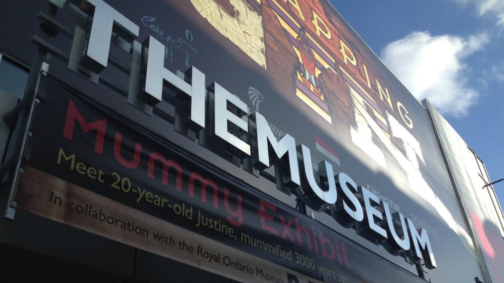 TheMuseum