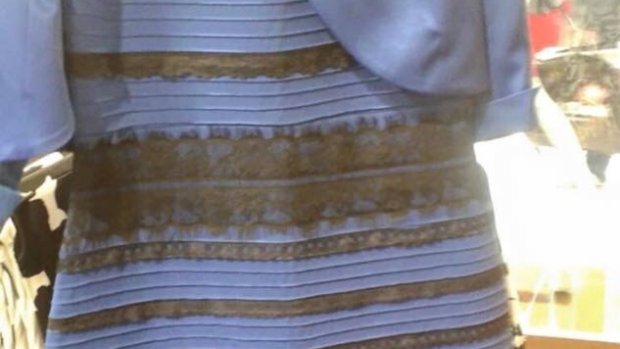 The science behind 'The Dress,' and why colour is not so black and white |  CTV News