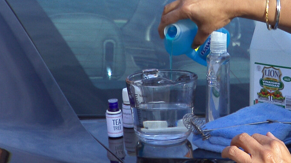 DIY car cleaning on a budget | CTV News