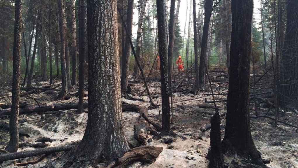 Forest fire crews in Montreal Lake 