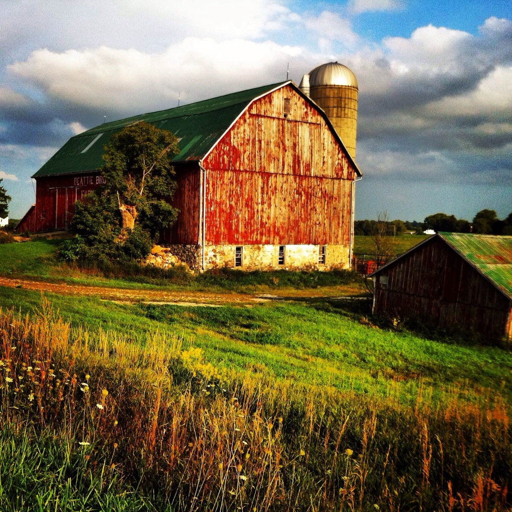 Picture This: Barns | CTV News