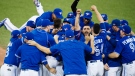 The Toronto Blue Jays celebrate their series win over the Texas Rangers during Game 5 of the ALDS in Toronto, Wednesday, Oct. 14, 2015. (Darren Calabrese / THE CANADIAN PRESS)