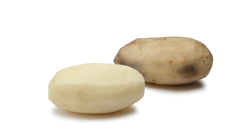 An first generation Innate Russet Burbank potato, left, sits next to a conventional Russet Burbank potato after peeling in this undated handout photo. THE CANADIAN PRESS/HO - J.R. Simplot Company