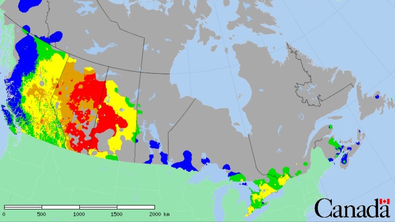 Fire risk already 'extreme' in parts of Prairies | CTV News