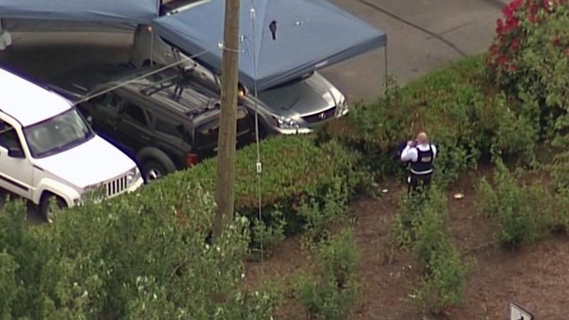 Police investigate a fatal stabbing in a Chilliwack parking lot on Tuesday, May 3, 2016. (CTV News)