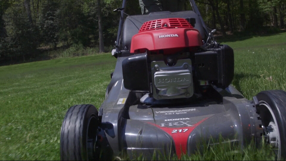 Making the cut: The best gas-powered lawn mowers | CTV News