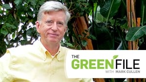 The Green File