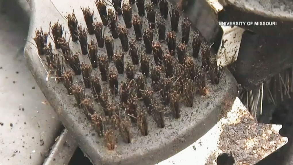 Pediatric ER Doctor Warns About Danger of Wire Grill Brushes