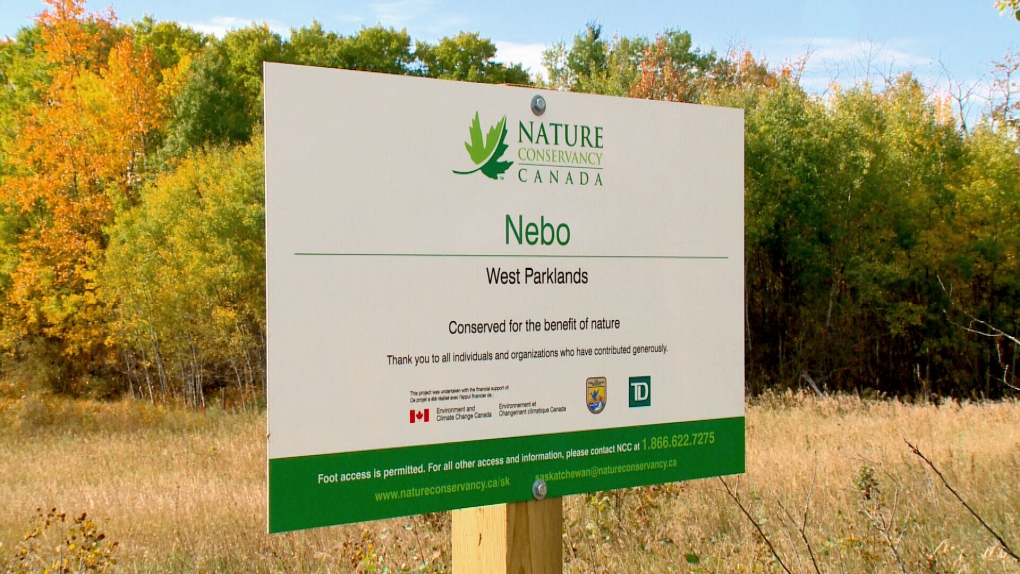 Farmland meets forest: Nature gets land to protect species risk | CTV News