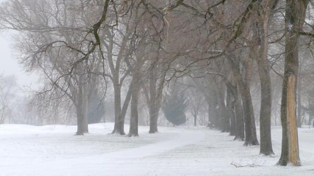 snow falling manitoba 