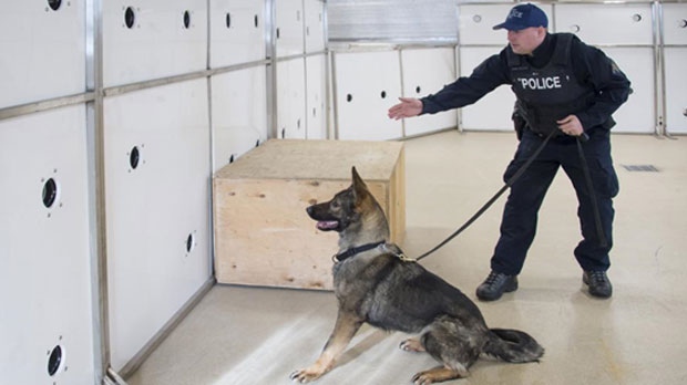 Police servince dog fentanyl training