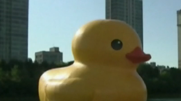 Giant duck coming to Ontario isn't all it's quacked up to be: opposition  Tories