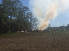 Firefighters controlling toxic fumes at property on Creamery Road in London, Ont., on Wednesday, June 7, 2017. (Kelda Yuen / CTV London)