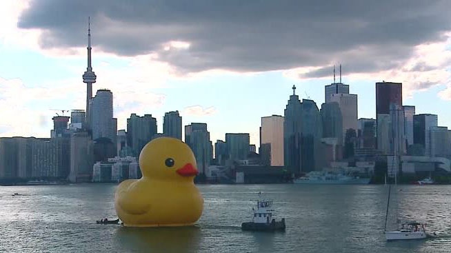Giant rubber duck wades away from Toronto | CTV News