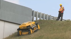 Crews deploy robotic gizmos to graze grass along Alberta roadways | CTV News