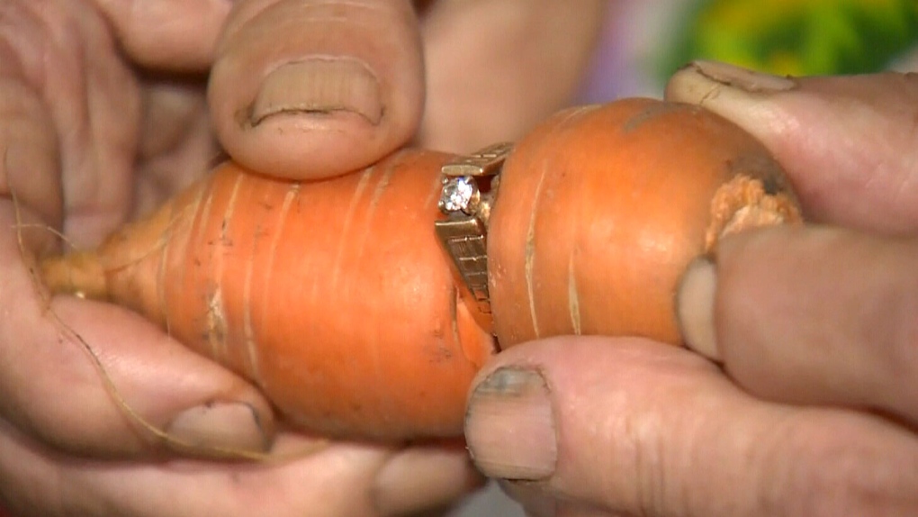 One 'carrot' diamond: Woman's long-lost engagement ring found | CTV News