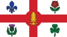 The City of Montreal flag. (source: City of Montreal)