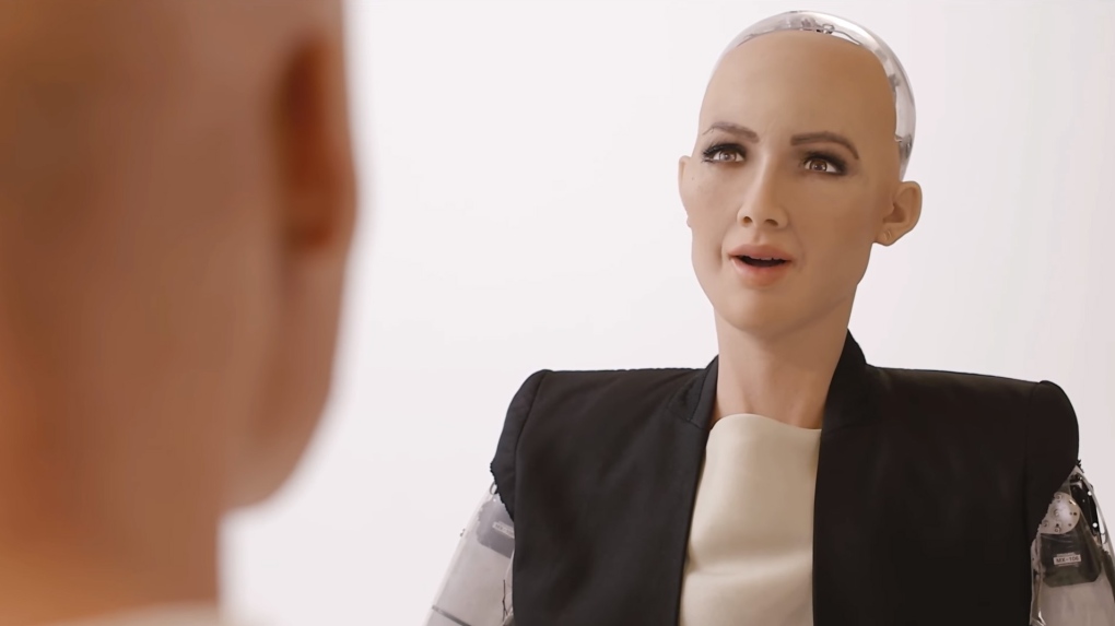 Saudi Arabia's first robot 'citizen' sparks Twitter war with Elon Musk |  CTV News