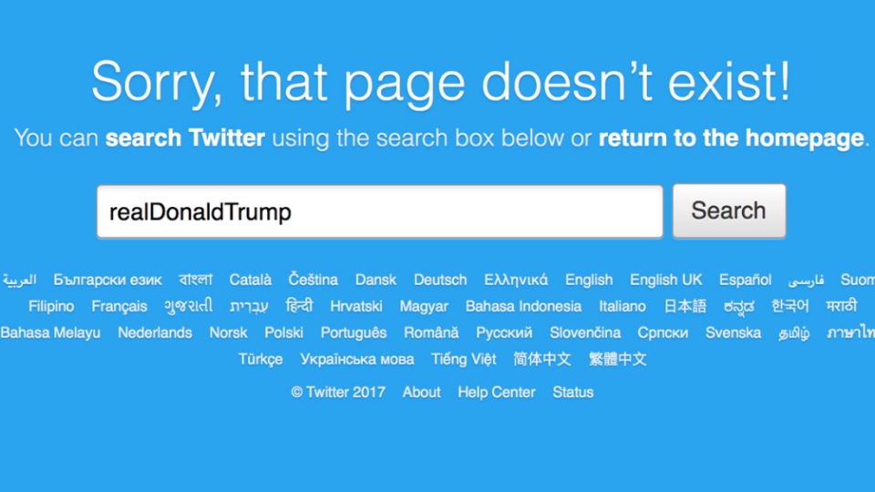 Trump's brief Twitter outage prompts cheers, concerns | CTV News