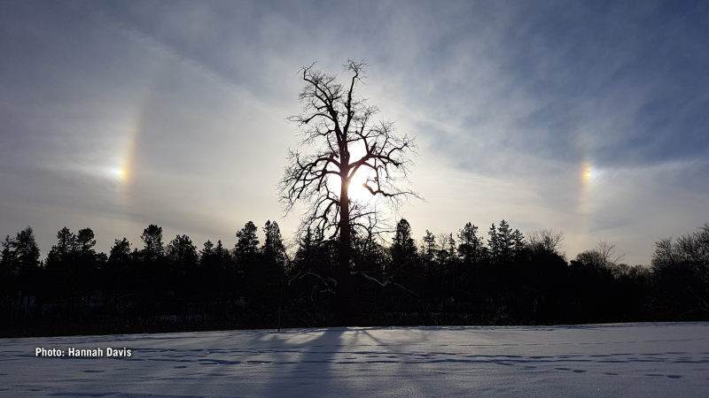 A sun dog was spotted while snowshoeing at the Arboretum on Christmas Eve. (Hannah Davis/CTV Viewer)