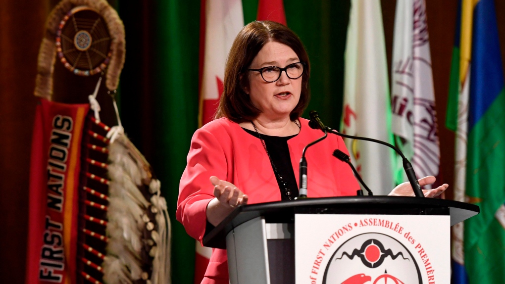 Former federal minister Jane Philpott takes on role with Indigenous group |  CTV News