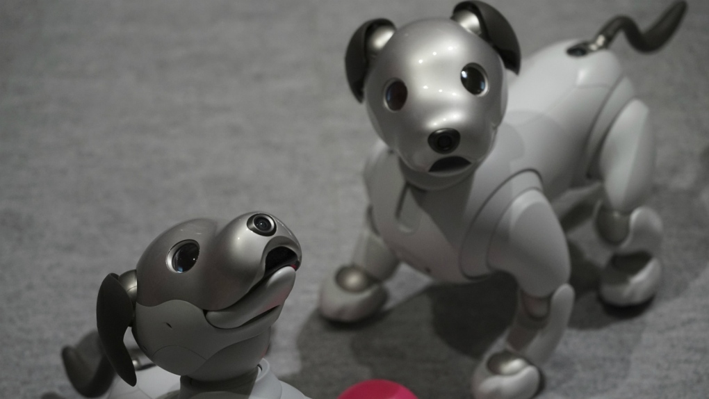 Japan offers robots as substitutes for pets | CTV News