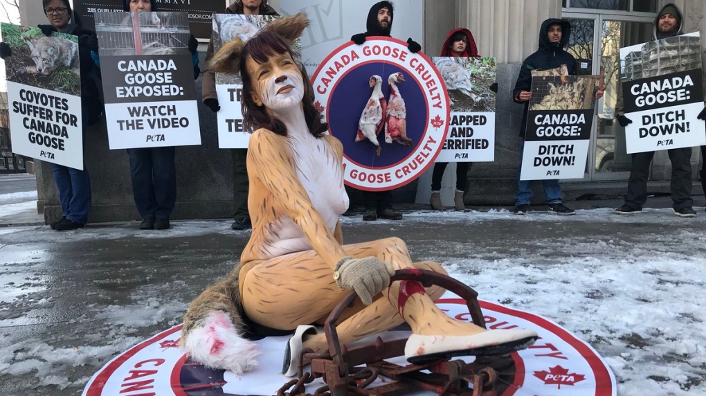 Windsor PETA members protest against Canada Goose jackets | CTV News