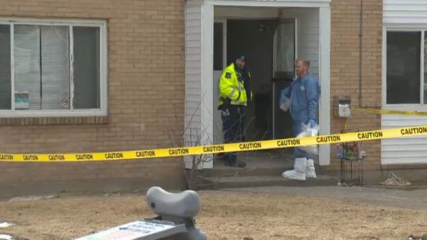 Woman arrested after man seriously injured in Dartmouth stabbing | CTV News