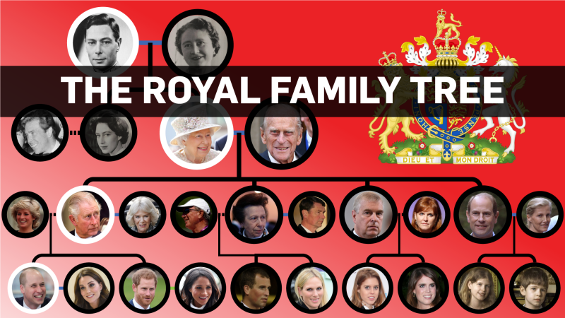 Royal Family Tree (CTVNews.ca / Nick Kirmse)