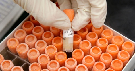 Research associate Crystal Pacutin pulls a frozen vial of human embryonic stem cells at the University of Michigan Center for Human Embryonic Stem Cell Research Laboratory in Ann Arbor, Mich. on Oct. 22, 2008. (AP / Paul Sancya)