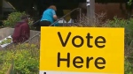 vote signs