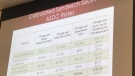 Calculated Sandwich South ASDC rates presented at Windsor city council in Windsor, Ont., on Monday, June 19, 2018. (Rich Garton / CTV Windsor)