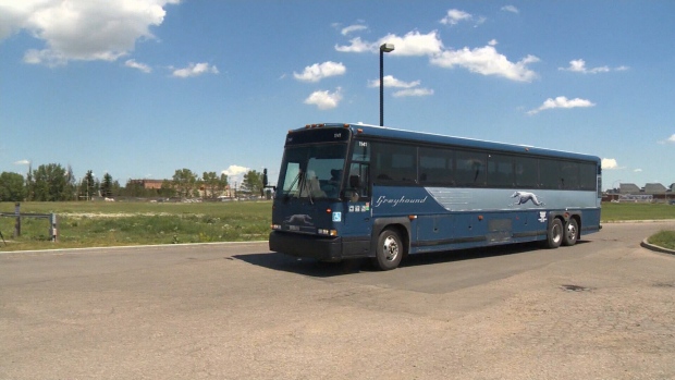 'Welcome back': After 19 months, Greyhound buses to resume between Canada and the U.S.