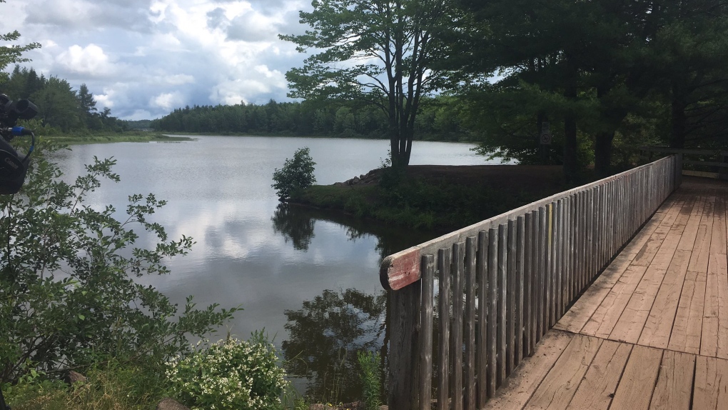 Irishtown Nature Park 