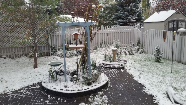 A snowy backyard view posted online on Thursday, September 13, 2018. (Twitter/@wbuedmonton)