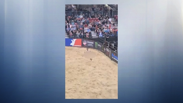 PBR streaker lost a bet, now facing police charges