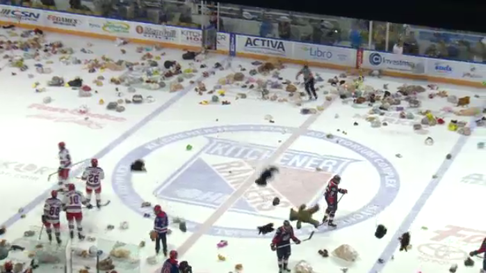 Teddy bear toss