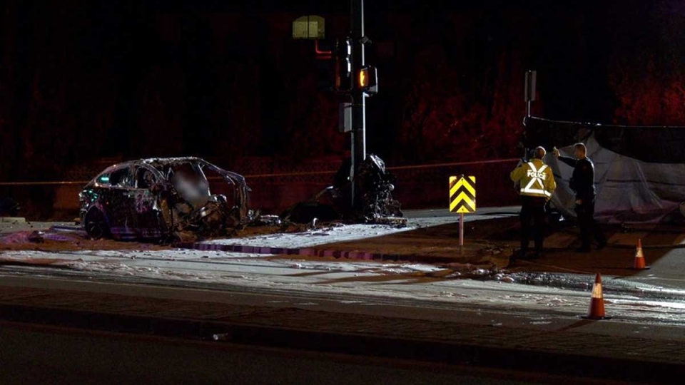 Driver dead after Tesla crashes into pole on Lougheed Highway | CTV News