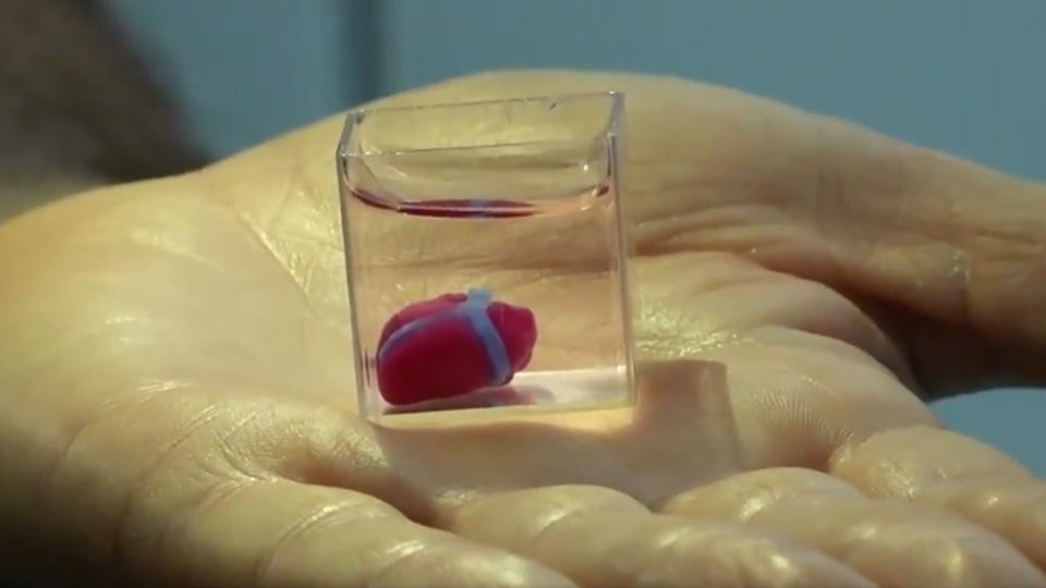 First' 3D print of heart with human tissue, vessels unveiled | CTV News