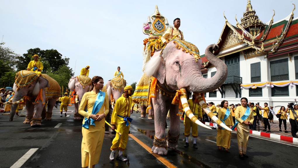 thailand elephants