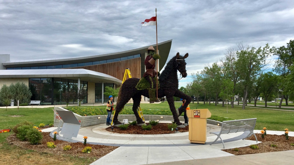 RCMP horse