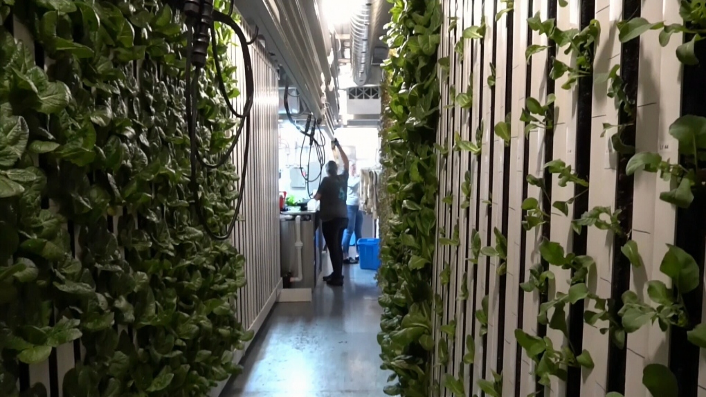 Students In La Loche Feeding Community With Modular Farm Ctv News