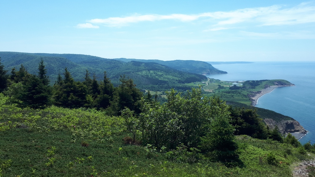 Nova Scotia Nature Trust acquires large parcel of coastal land in Cape  Breton | CTV News