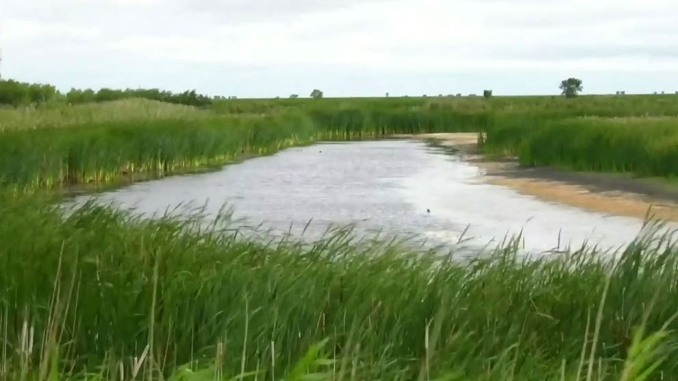 PCs pledge clean Lake Winnipeg